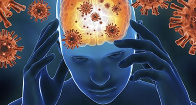 116 Suspected Meningitis Cases Reported